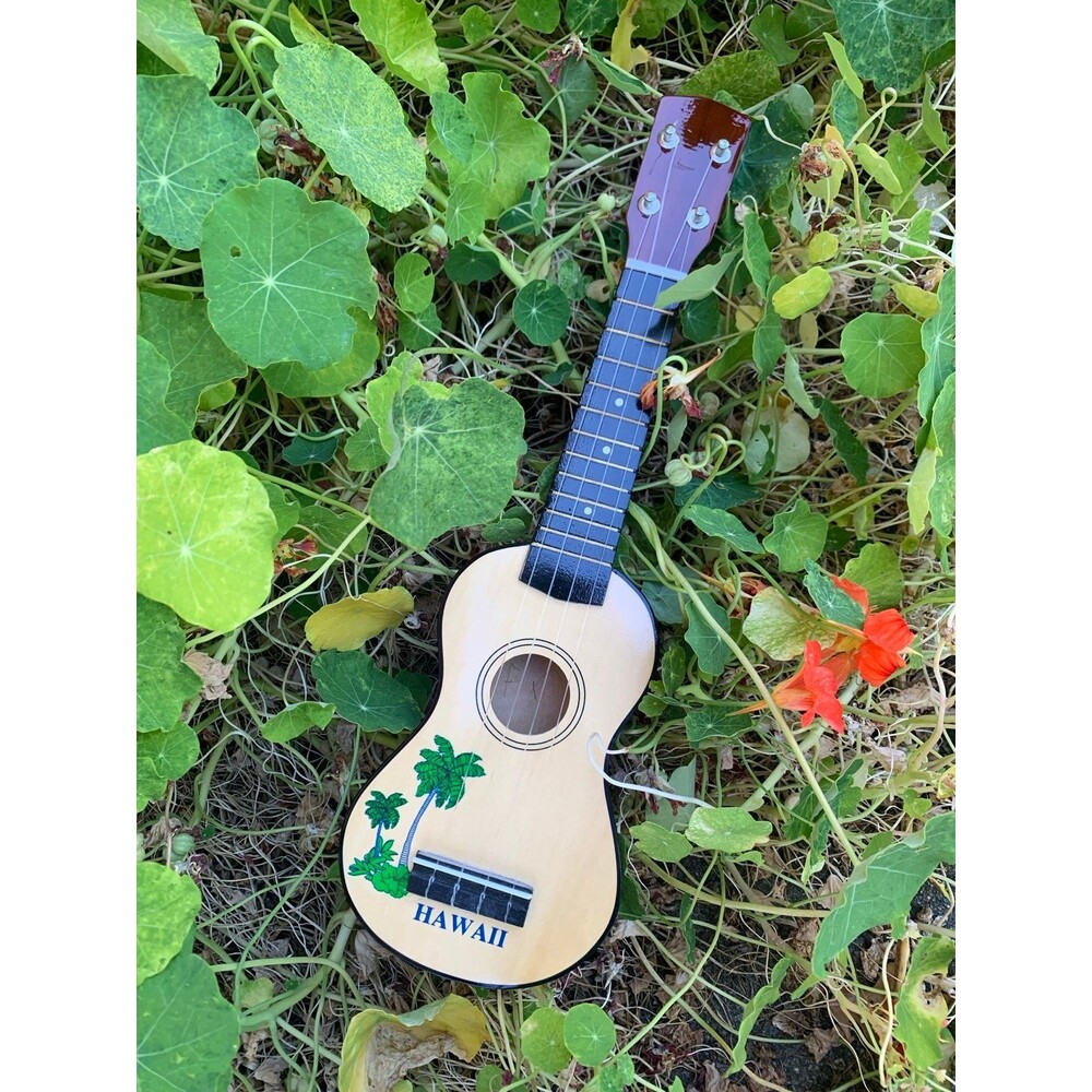 Ukulele Guitar from Hawaii